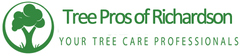 Tree Service Richardson, Texas